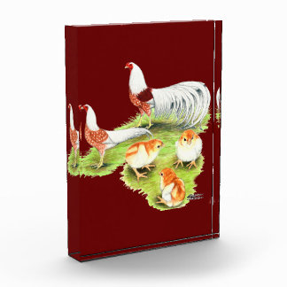 Yokohama Red Shoulder Family Award