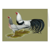 Yokohama:  Silver Duckwing Pair (Front Horizontal)