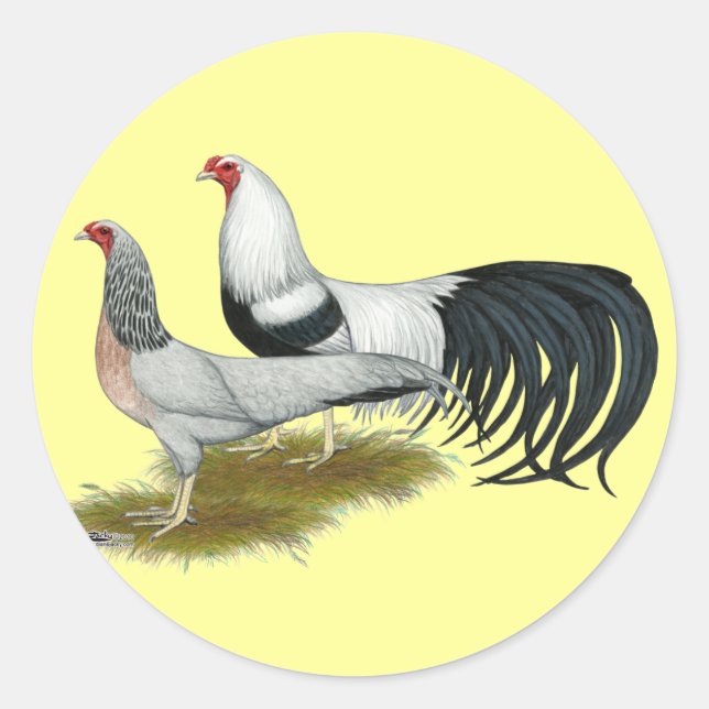 Yokohama:  Silver Duckwing Pair Classic Round Sticker (Front)