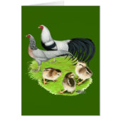 Yokohama Silver Family (Front)