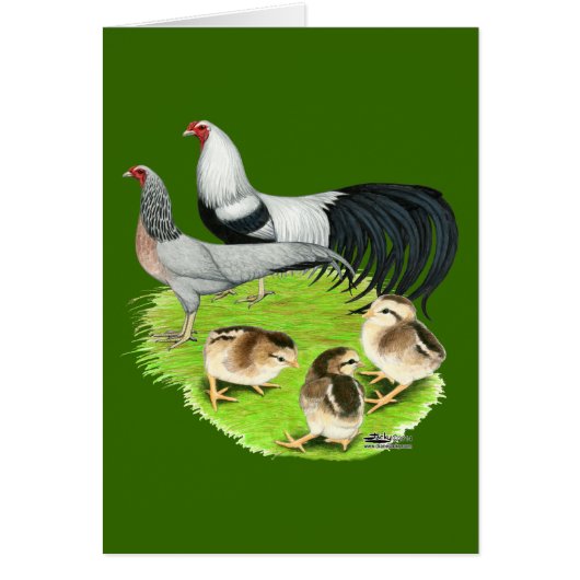 Yokohama Silver Family (Front)