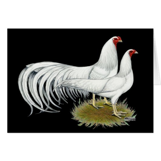 Yokohama:  White Pair (Front Horizontal)