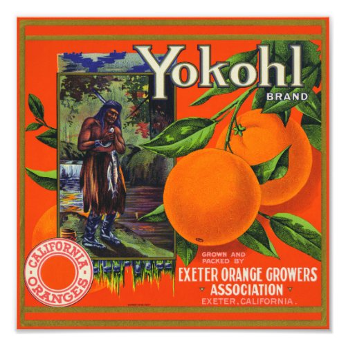 Yokohl Oranges packing label Photo Print