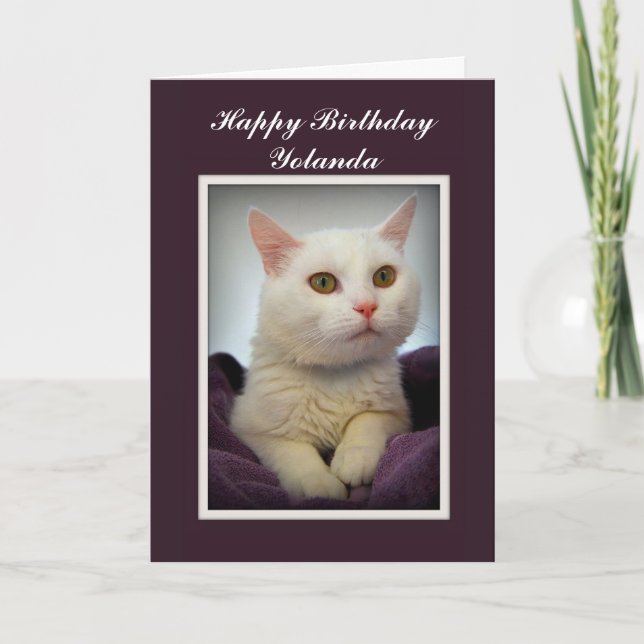 Yolanda Happy Birthday White Cat Card (Front)