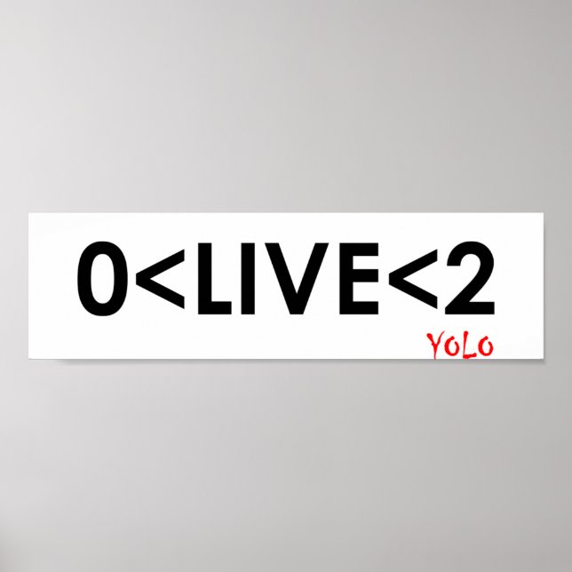 YOLO Math Funny Poster (Front)