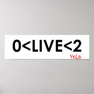 YOLO Math Funny Poster