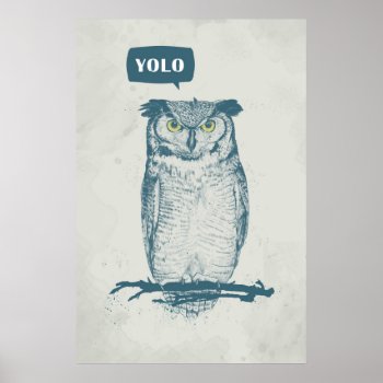 Yolo Poster by bsolti at Zazzle