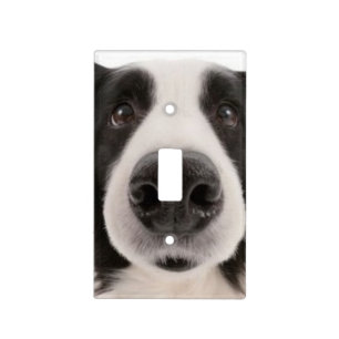 Yoo-Hoo, Me Again!! Light Switch Cover