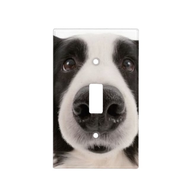 Yoo-Hoo, Me Again!! Light Switch Cover (Front)