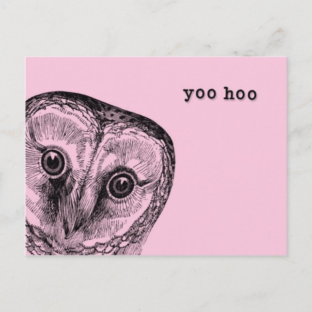 Yoo Hoo Owl Greeting in Pink Postcard (Front)