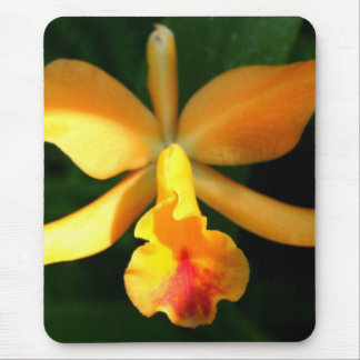Yorchid Mouse Pad