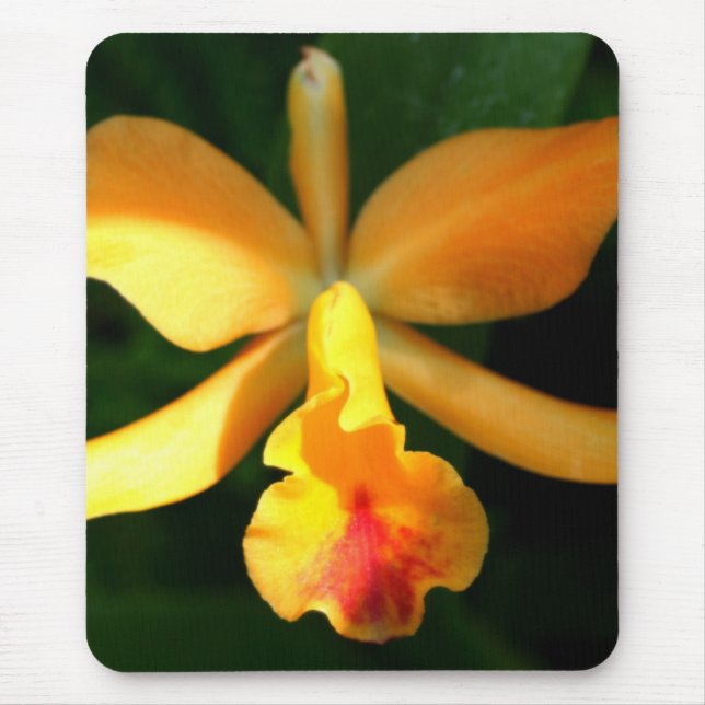 Yorchid Mouse Pad (Front)