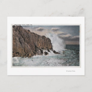 York, MaineView of Bald Head CliffYork, ME Postcard