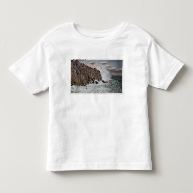 York, MaineView of Bald Head CliffYork, ME Toddler T-shirt (Front)