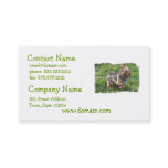York Terrier Dog Business Card