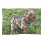 York Terrier Kitchen Towel