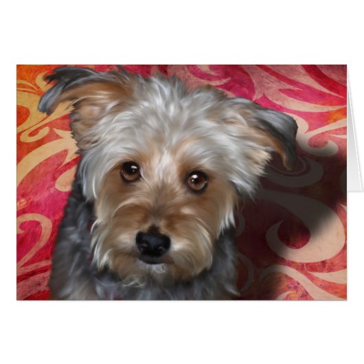 Yorkie (Front Horizontal)