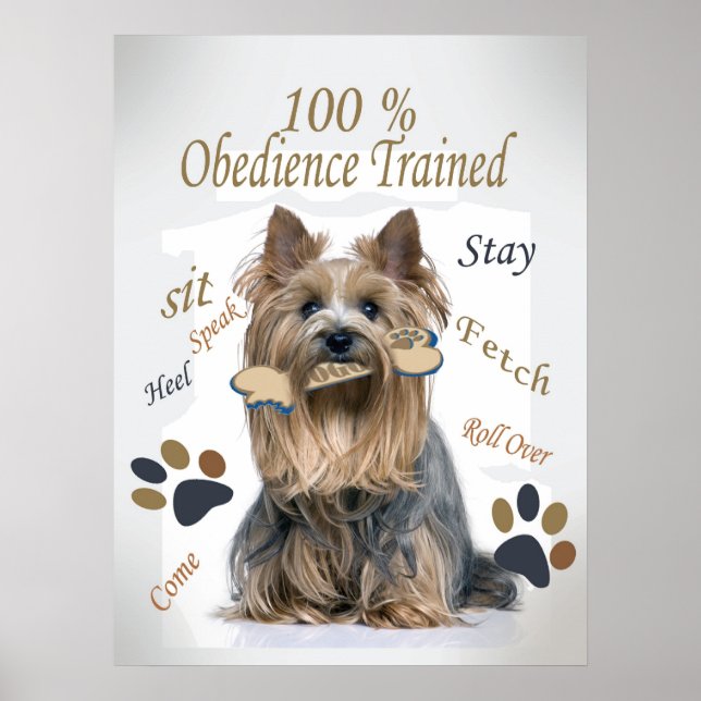 Yorkie 100 % Obedience Trained Poster (Front)