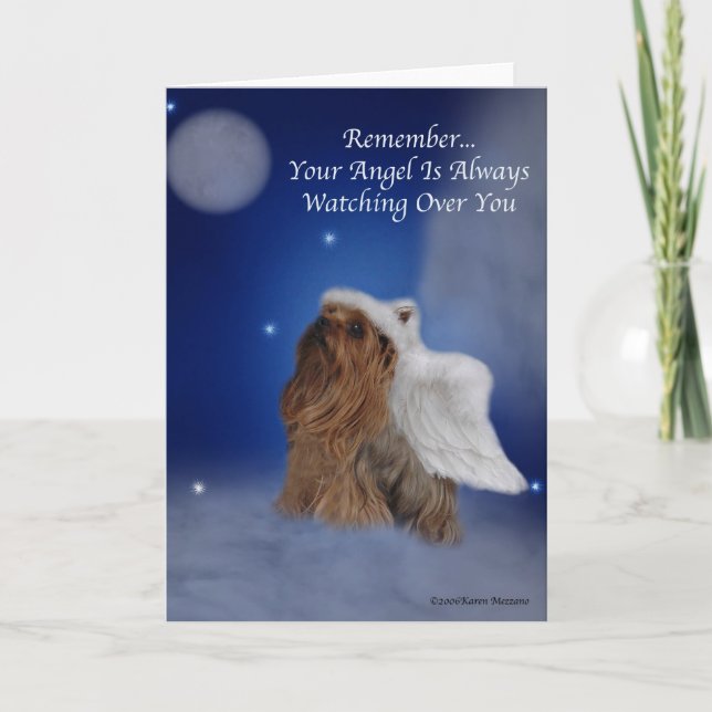 Yorkie Angel Star Card (Front)