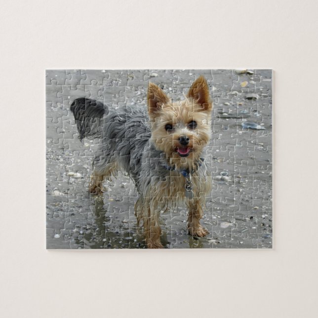 Yorkie at the beach jigsaw puzzle (Horizontal)