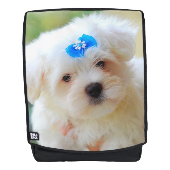 Yorkie Backpack (Front)