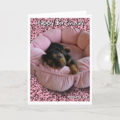 Yorkie Birthday Card