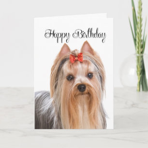 Yorkie Birthday Card