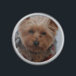 Yorkie Bluetooth Speaker<br><div class="desc">Bumpster Speaker</div>