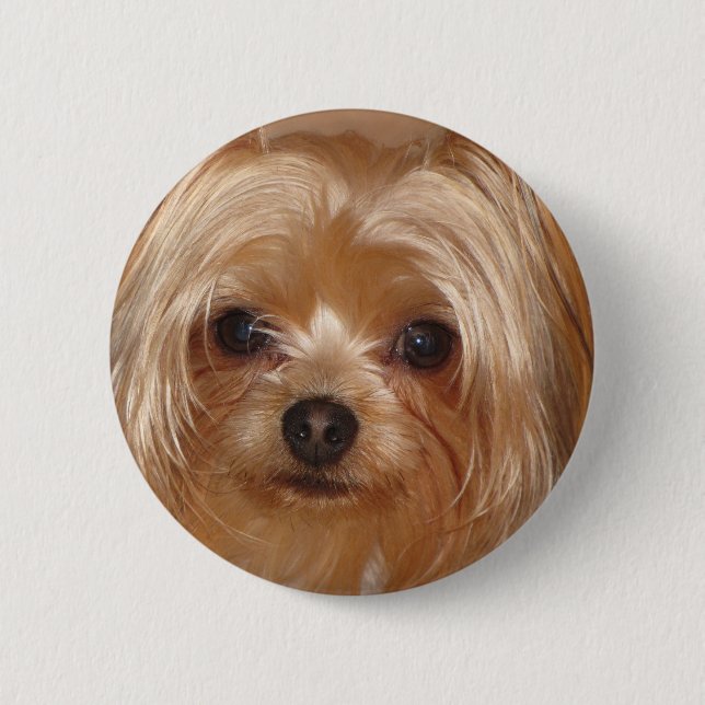 Yorkie Botton Pinback Button (Front)
