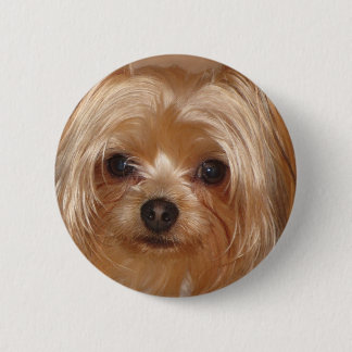 Yorkie Botton Pinback Button