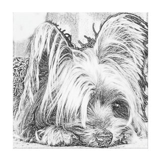 Yorkie Wrapped Canvas Prints | Zazzle