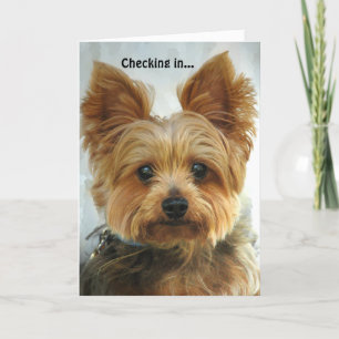 Yorkie - Checking in Card