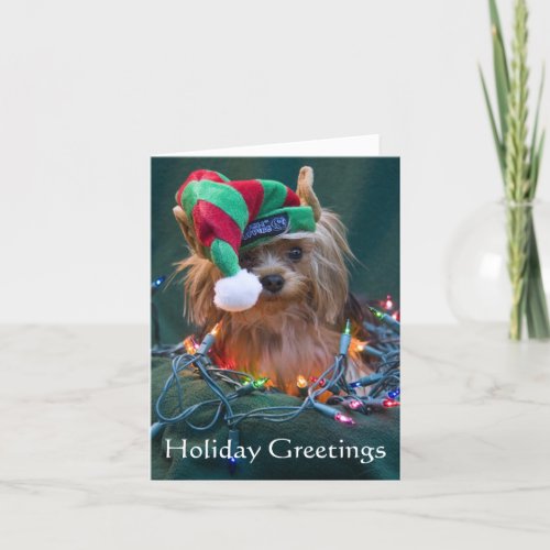 Yorkie Christmas Card