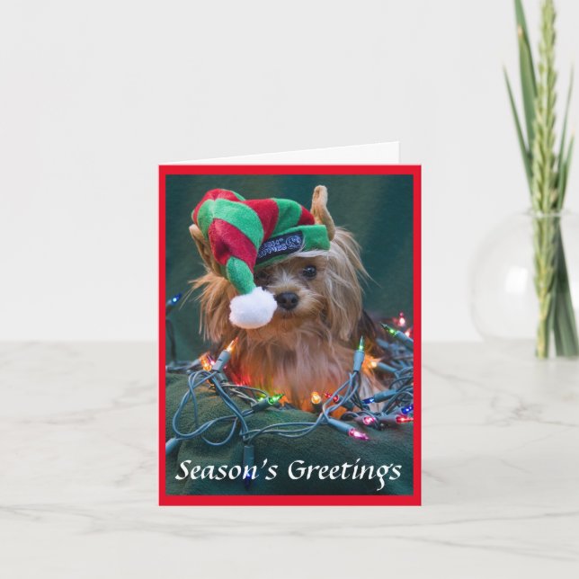 Yorkie Christmas Card (Front)