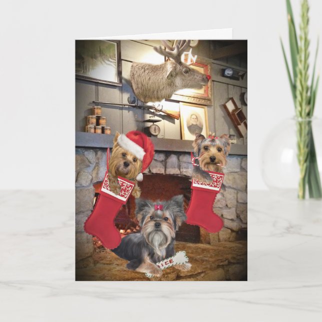 Yorkie Christmas Fireplace Cards (Front)