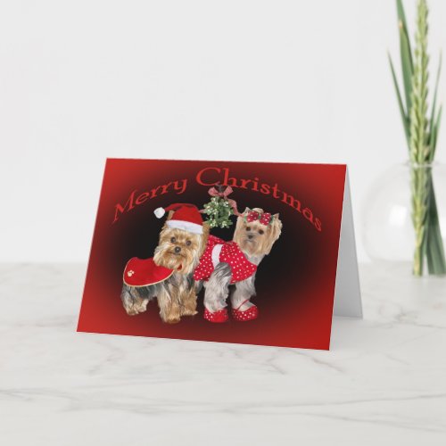 Yorkie Christmas  Mistletoe Cards