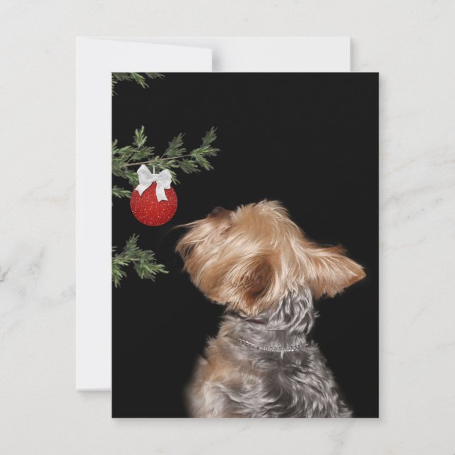 Yorkie Christmas temptation Holiday Card (Front)