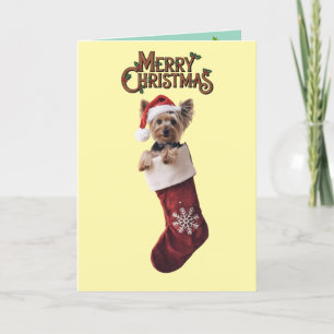 Yorkie Christmas Thank You Card