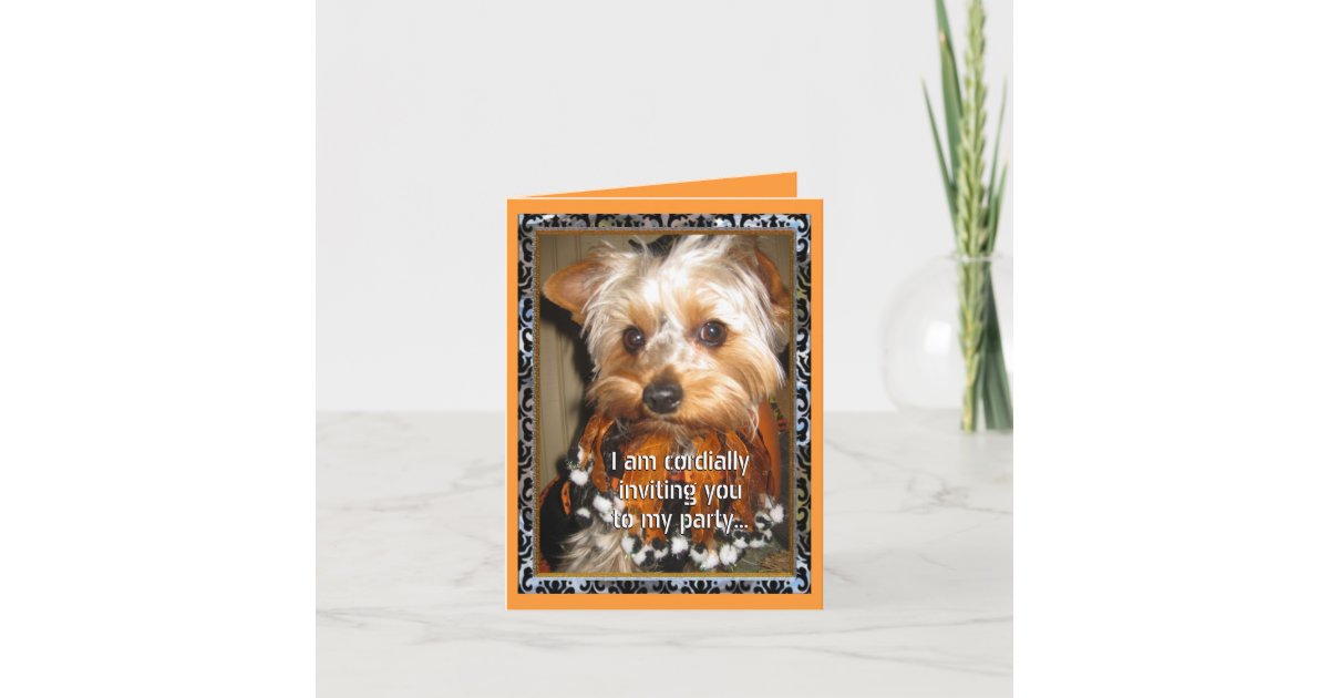 #39 Yorkie Cordial Invite for Halloween Zazzle #39 Yorkie Cordial Invite for Halloween Zazzle