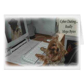Yorkie Cyber Dating Cards