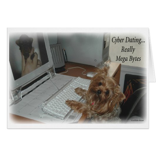 Yorkie Cyber Dating Cards (Front Horizontal)