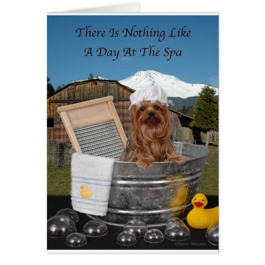 Yorkie Day At Spa Cards (Front)