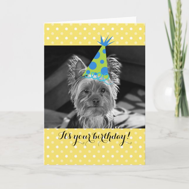 Yorkie Dog Birthday Card (Front)