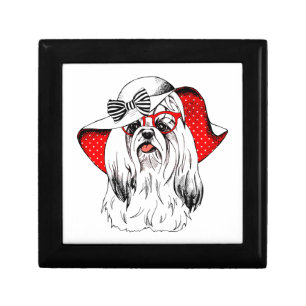 Yorkie Fashion Shoot Gift Box