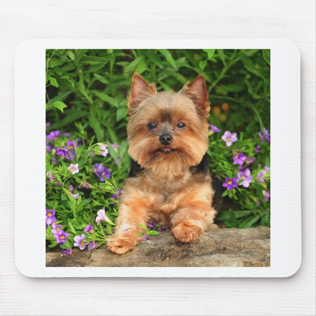 Yorkie flowers mouse pad (Front)