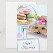 Yorkie French Macarons (Front/Back)