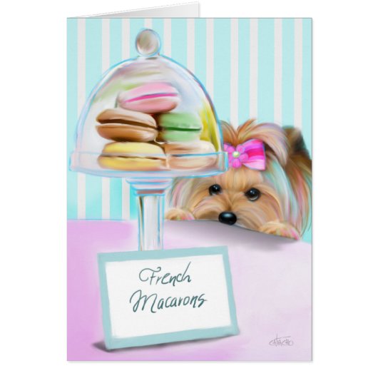 Yorkie French Macarons Cards (Front)