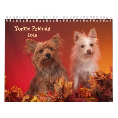 Yorkie Friends 2013 Calendar