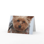 Yorkie Greeting Card