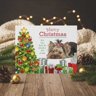 Yorkie Greeting Card